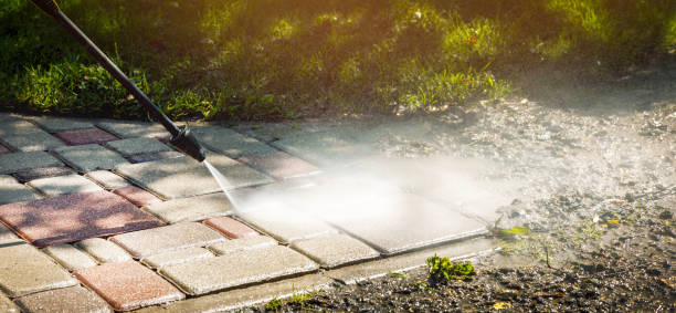 Best Solar Panel Cleaning  in Ivanhoe, TX